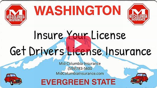 Video - Insure Your License